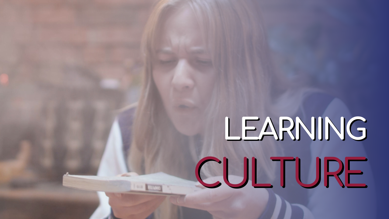 Learning Culture